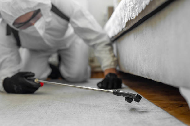 Professional Termite Control technician working in Hill County County, MT